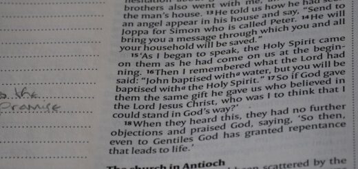 Jakie książki o papieżach warto przeczytać dla pogłębienia wiedzy?