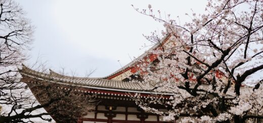 Historie nawróceń - inspirujące książki do przeczytania