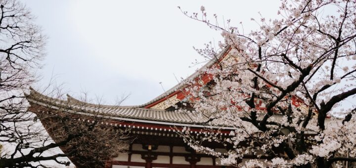 Historie nawróceń - inspirujące książki do przeczytania